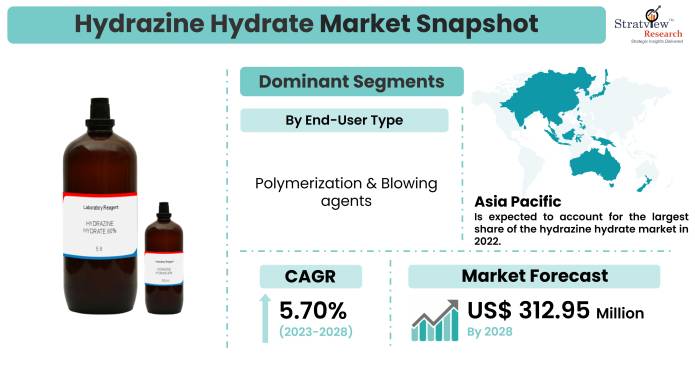 Hydrazine Hydrate Market Snapshot